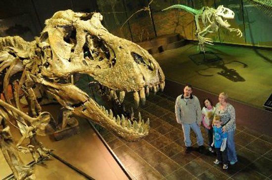 Tellus Science Museum